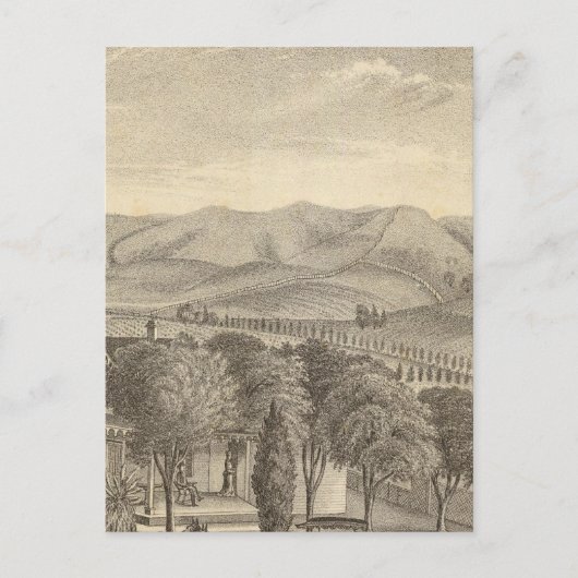 Carte Postale Palmer res, vignoble (Devant)