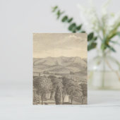 Carte Postale Palmer res, vignoble (Debout devant)