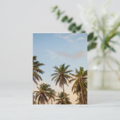 Carte Postale Palmes 5 (Debout devant)
