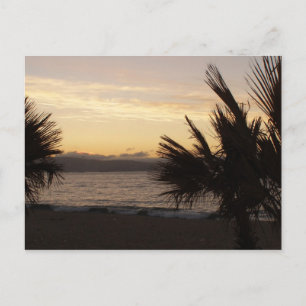 Carte Postale Palmes couchées