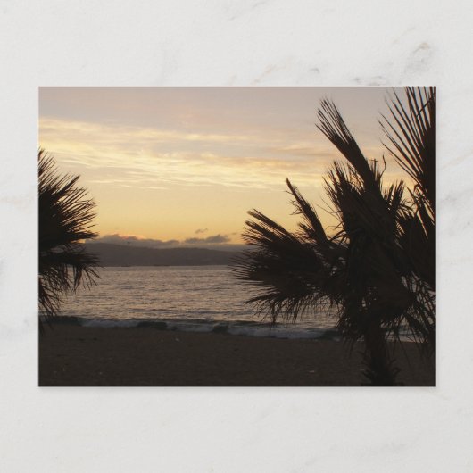 Carte Postale Palmes couchées (Devant)