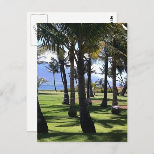 Carte Postale Palmes de coco Nui Hawaii (Devant / Derrière)