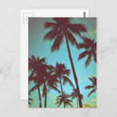 Carte Postale Palmes tropicales vintages (Devant / Derrière)