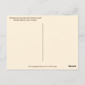 Carte Postale Palmetto Bluff Chapelle Bluffton SC Épouvantails d (Dos)