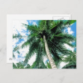 Carte Postale Palmier (Devant / Derrière)