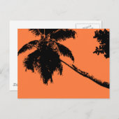 Carte Postale Palmier (Devant / Derrière)