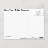 Carte Postale Palmier (Dos)