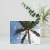 Carte Postale Palmier (Debout devant)