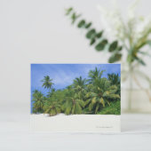 Carte Postale Palmier 3 (Debout devant)