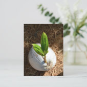 Carte Postale Palmier à coco (Debout devant)