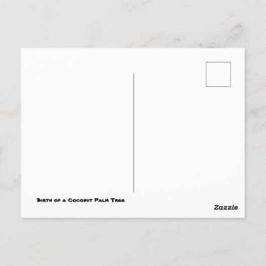 Carte Postale Palmier à coco (Dos)