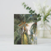 Carte Postale Palmier à coco, Key West Winslow Homer (Debout devant)