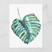 Carte Postale Palmier à feuilles de monstère vert tropical (Devant)