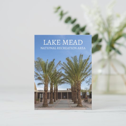 Carte Postale Palmier Bordée Walk Visitor Center Lake Mead, NRA (Debout devant)