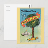 Carte Postale Palmier chou de Caroline du Sud  (Devant / Derrière)