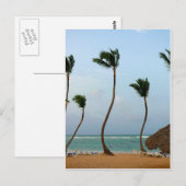 Carte Postale Palmier de Plage (Devant / Derrière)
