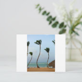 Carte Postale Palmier de plage (Debout devant)