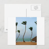 Carte Postale Palmier de plage (Devant / Derrière)