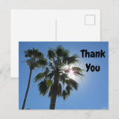 Carte Postale Palmier de remerciement Auréole de soleil tropical (Devant / Derrière)