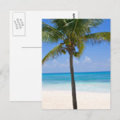 Carte Postale Palmier des Bahamas (Devant / Derrière)