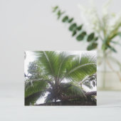 Carte Postale Palmier d'Hawaï gros plan (Debout devant)
