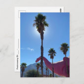 Carte Postale Palmier et dinosaure rose (Devant / Derrière)