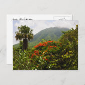 Carte Postale Palmier, Flamboyant Tree, pic volcanique des Caraï (Devant / Derrière)