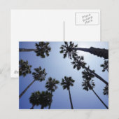 Carte Postale Palmier la Californie Santa Barbara (Devant / Derrière)