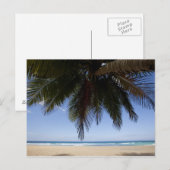 Carte Postale Palmier le long de la mer des Caraïbes. (Devant / Derrière)