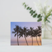 Carte Postale Palmier, matin (Debout devant)