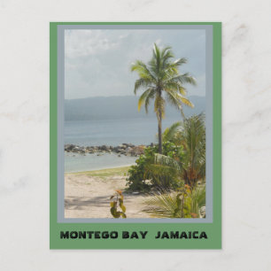 Carte Postale Palmier, Montego Bay Jamaïque juin 2011