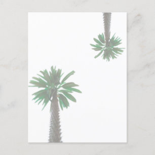 Carte Postale Palmier Stylisé Pastel Green Tropical