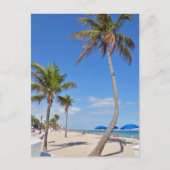 Carte Postale Palmier sur la plage (Devant)