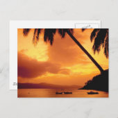 Carte Postale Palmier sur l'eau (Devant / Derrière)