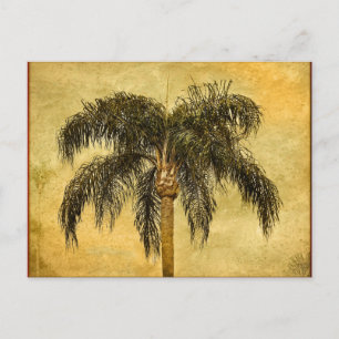 Carte Postale Palmier tropical vert Palmier Vintage hawaïen Palm