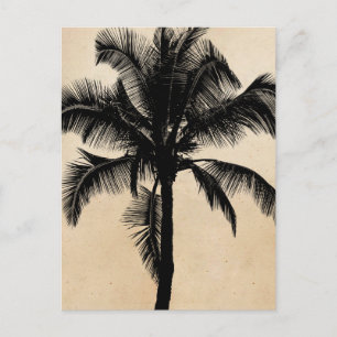 Carte Postale Palmier tropicale hawaïenne rétro Silhouette Noir
