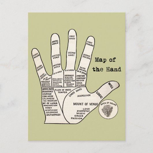 Carte Postale Palmier vintage lecture fortune misère (Devant)