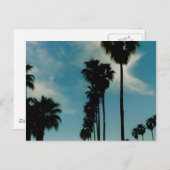 Carte Postale Palmiers (Devant / Derrière)