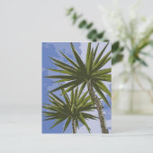 Carte Postale Palmiers (Debout devant)