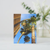 Carte Postale palmiers (Debout devant)