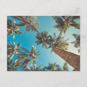Carte Postale Palmiers à Tropical Beach Vintage