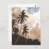 Carte Postale Palmiers, Bahamas (Devant / Derrière)