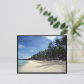 Carte Postale palmiers boracay (Debout devant)