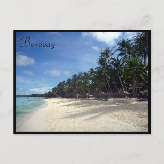 Carte Postale palmiers boracay (Devant)