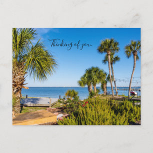 Carte postale : Palmiers bord de mer matin penser 