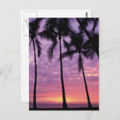 Carte Postale Palmiers contre ciel (Devant / Derrière)
