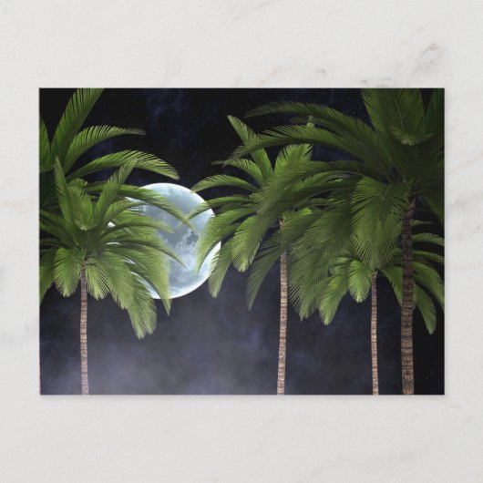 Carte Postale Palmiers contre la lune (Devant)