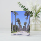 Carte Postale Palmiers dans une rue de Los Angeles (Debout devant)