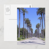 Carte Postale Palmiers dans une rue de Los Angeles (Devant / Derrière)