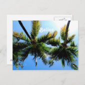 Carte Postale Palmiers de Belize (Devant / Derrière)